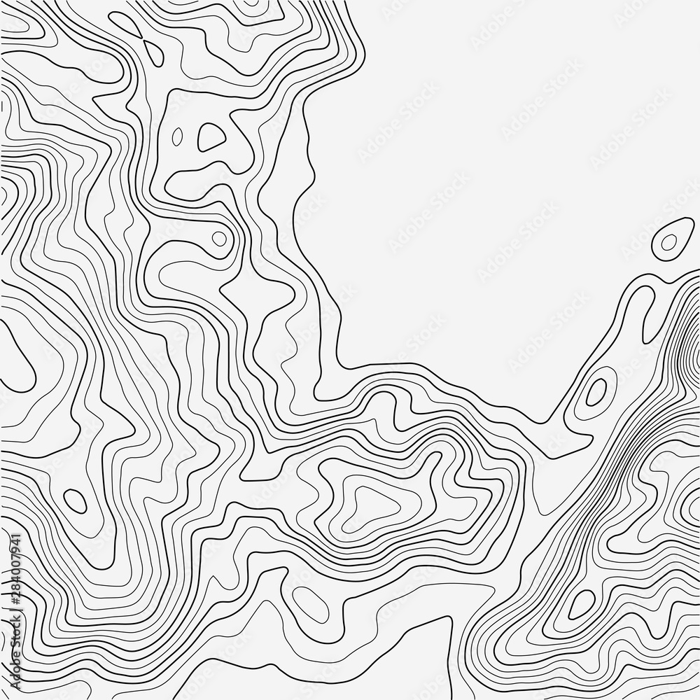 Fototapeta Topographic map background. Grid map. Abstract vector illustration.