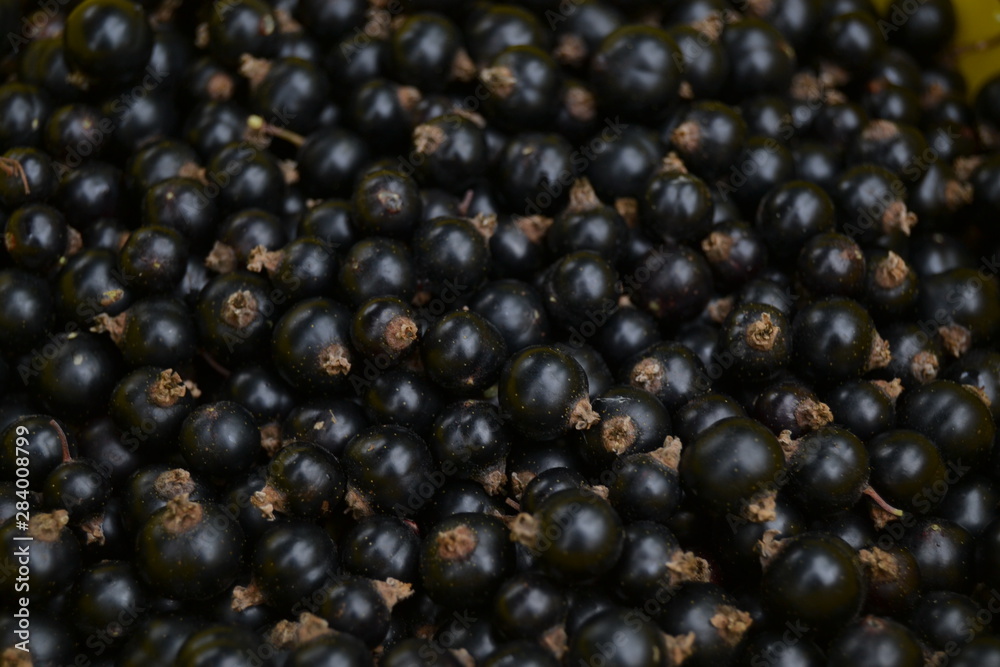 Black current texture. Organic berries background. Black current texture. Organic berries background.