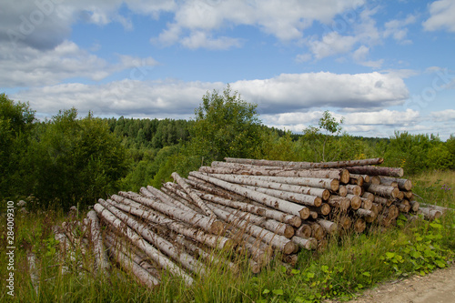 Fototapeta Naklejka Na Ścianę i Meble -  logging logs on road
