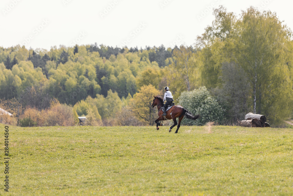 horse gallop during eventing competition	