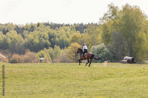 horse gallop during eventing competition 