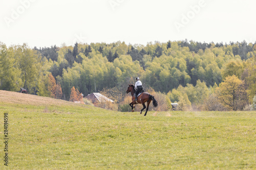 portrait of horse gallop during eventing competition