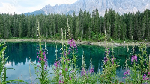 Berge und Bäume spiegeln sich im grünen Karersee in Südtirol © Omm-on-tour