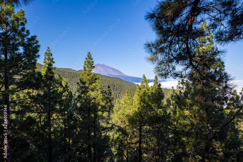 Obraz premium Ausblick zum Teide