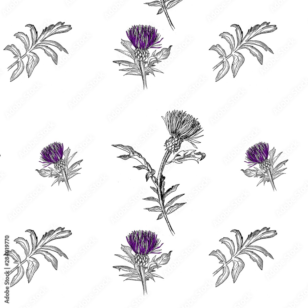 histle flower and leaf pattern
