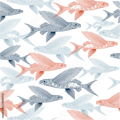 Exocoetidae or Flying fish hand drawing