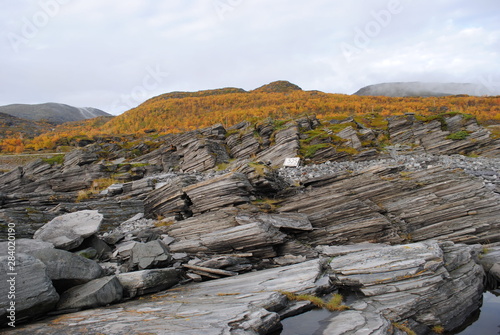 Slate stones in front of a meadow