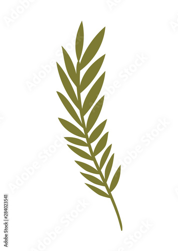 branch with leaves isolated icon