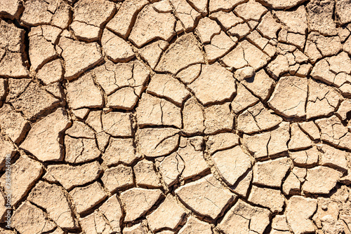 Cracks of the dried soil background