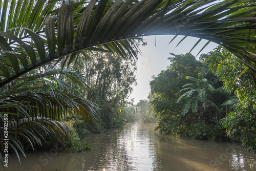 Boat trip in the Mekong Delta 2