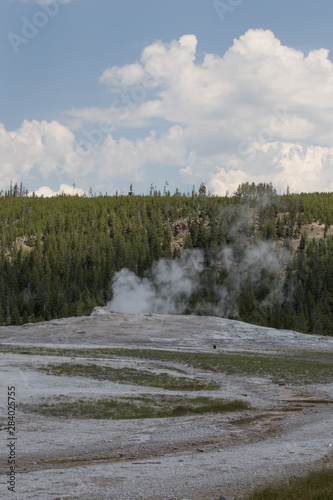 geyser in yellowstone