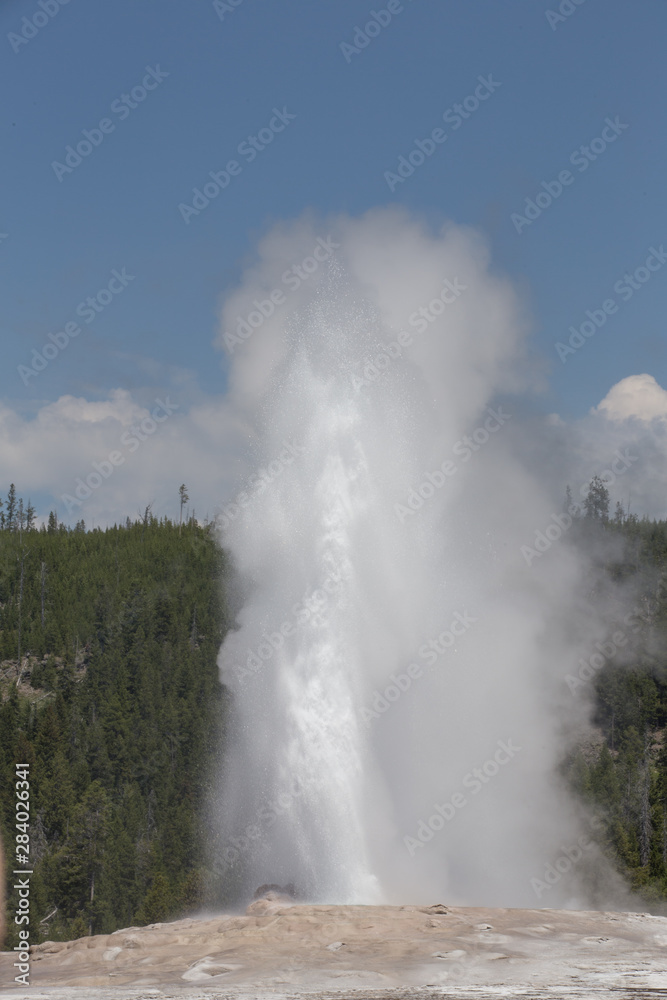 Fototapeta premium Yellowstone geyser