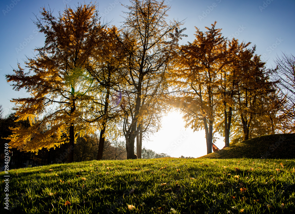 Herbst im Olympiapark