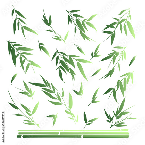 Fototapeta Naklejka Na Ścianę i Meble -  Bamboo branches isolated on white background. Vector illustration.
