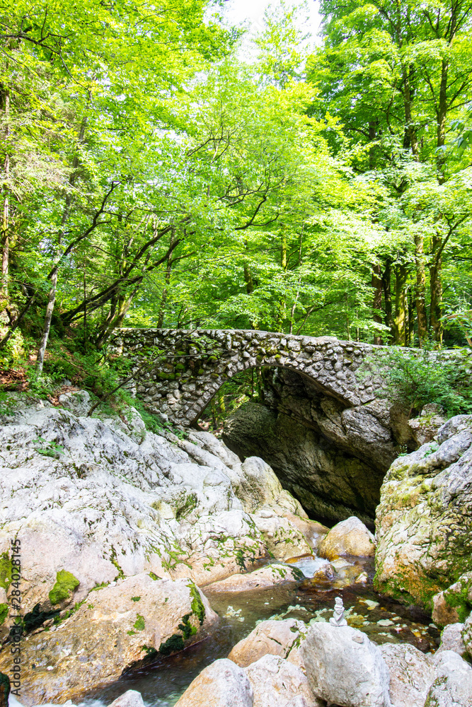 stream through the forest in Julian Alps, Slovenia stream through the forest in Julian Alps, Slovenia