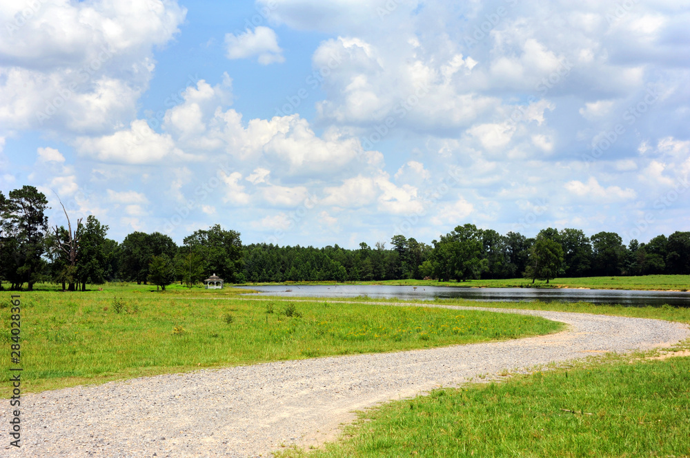 Oasis in the Country