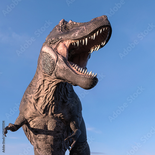 Fototapeta Naklejka Na Ścianę i Meble -  tyrannosaurus