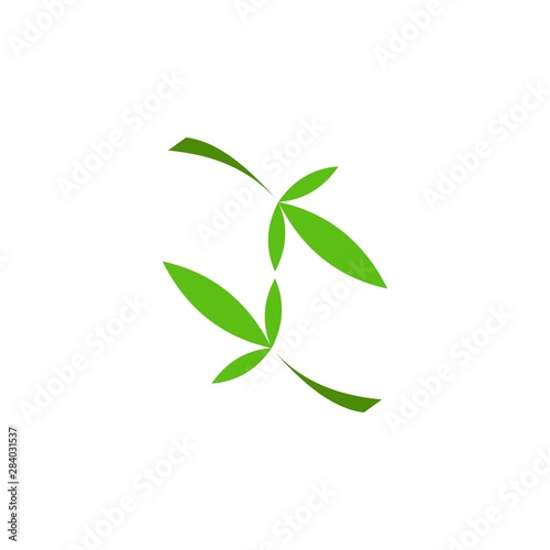 Bamboo Leaf logo design vector