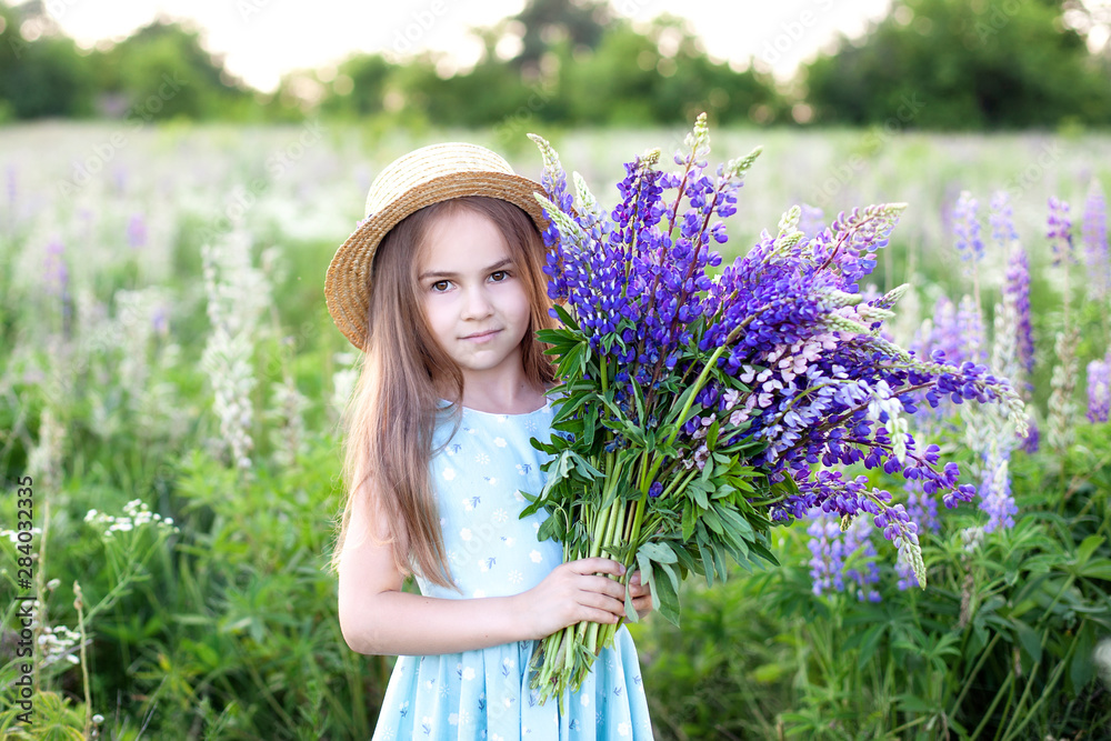 Fototapeta premium Closeup portrait of a little girl in a field of lupins. Girl holding a bouquet of purple flowers in the background of a field of lupins. Photo of summer wildflowers. concept of childhood. Copy space. 
