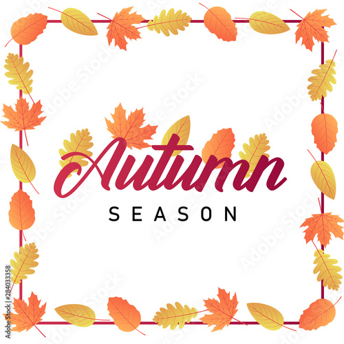 Autumn sale background layout decorate with leaves for shopping sale or promo poster and frame leaflet or web banner. Vector illustration template. (ID: 284033358)