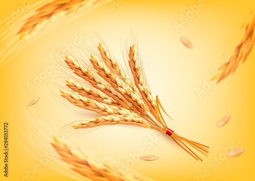 Ears of wheart on yellow background. Vector illustration