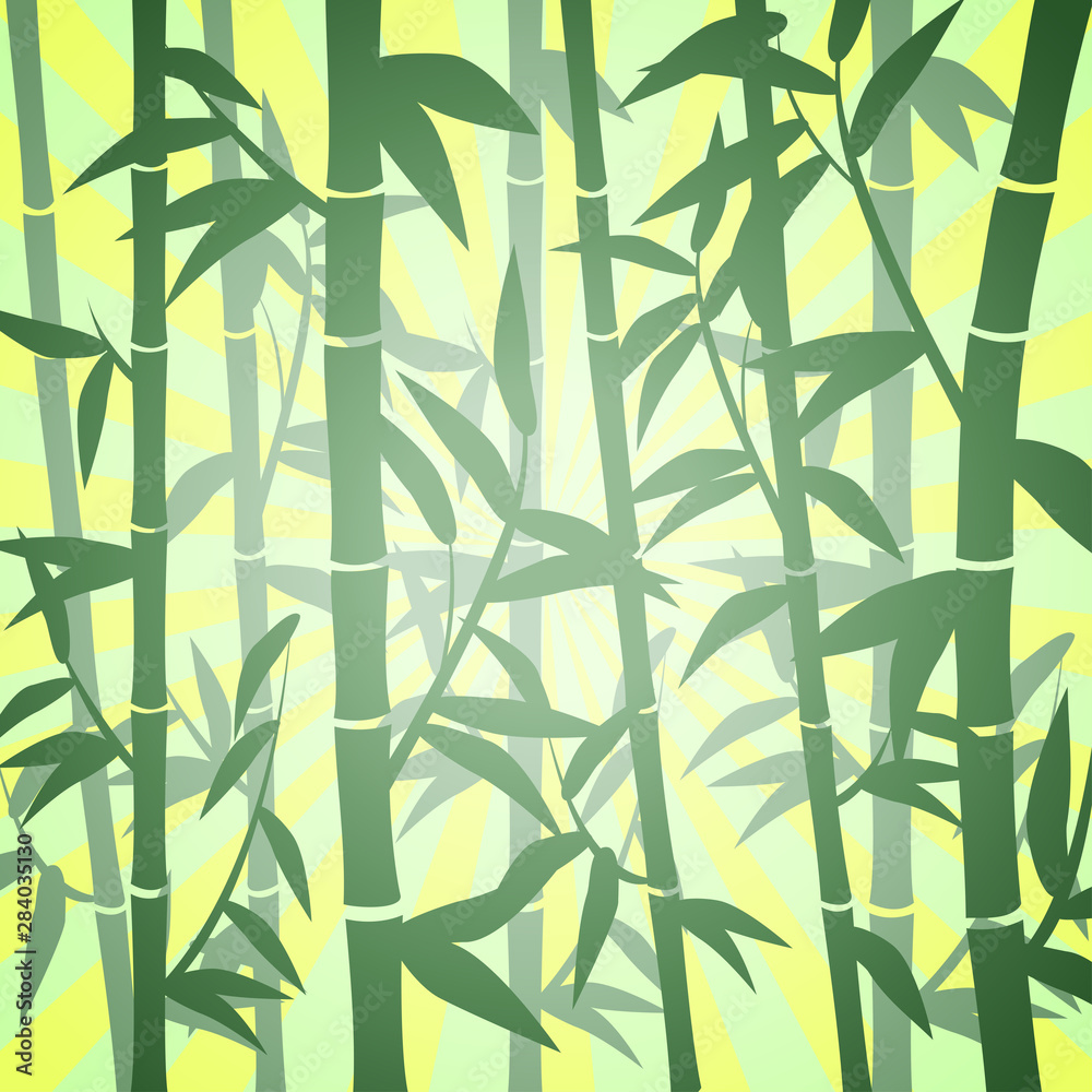 Obraz premium Bambusowy las na tle EPS 10
