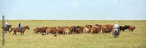 Moving Cattle