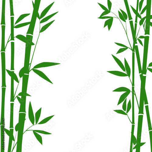 Bamboo forest for background EPS 10