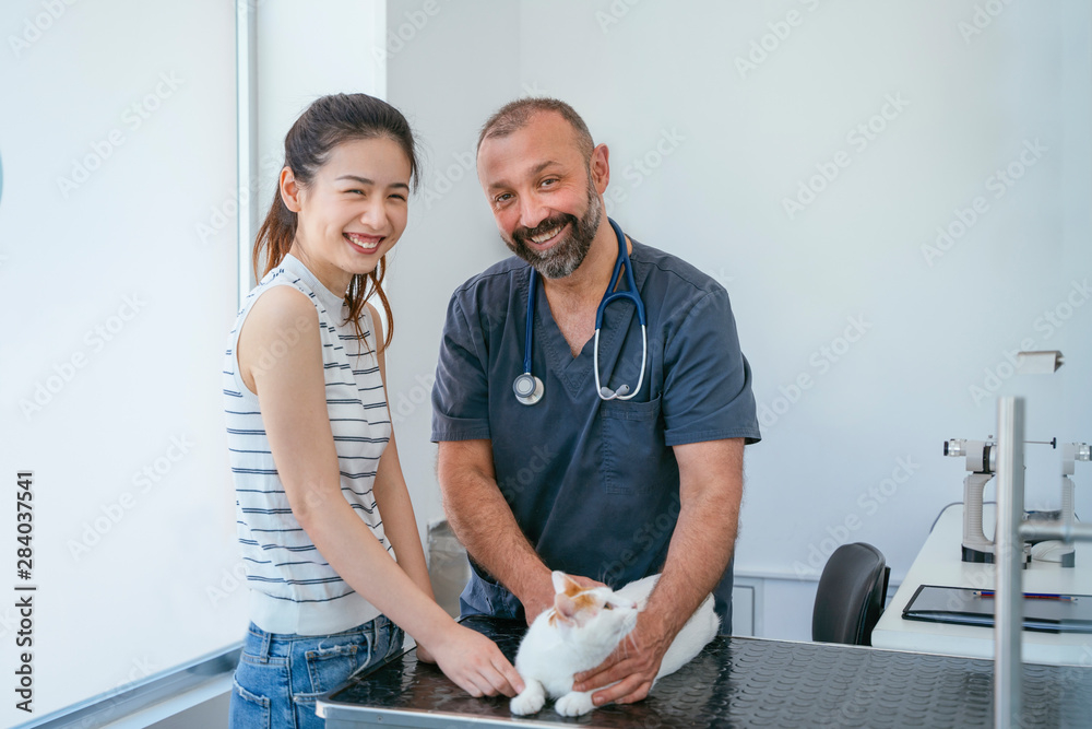 Fototapeta premium Trustworthy veterinarian taking care of domestic pet. Chinese woman and her cat.