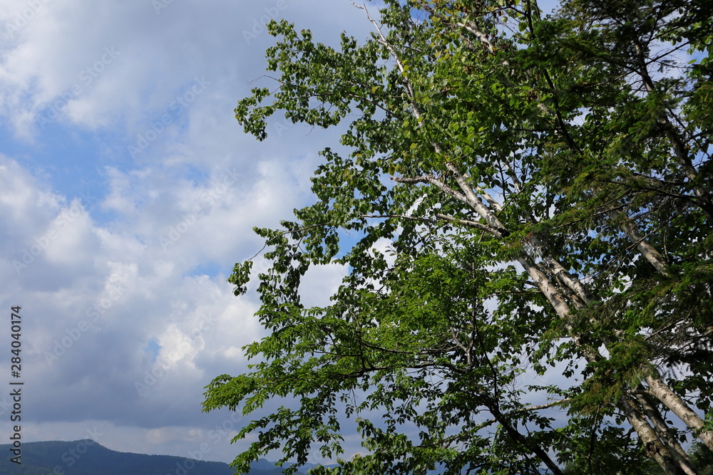 Fototapeta premium 日本 北海道の阿寒湖
