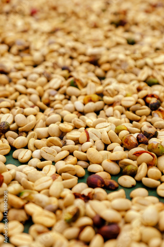 Kona Coffee Beans Roasting in Hawaii