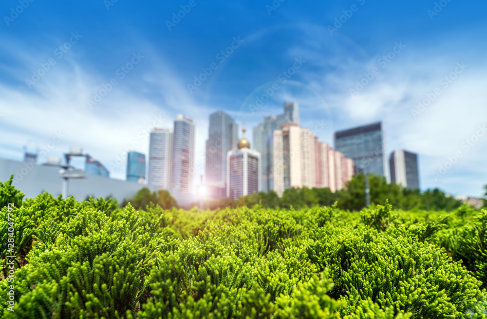 Fototapeta premium Qingdao Cityscape, China