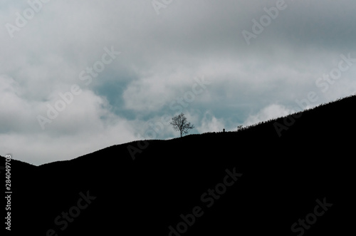 A silhouette of single tree on the top of mountain with clouds and blue sky.