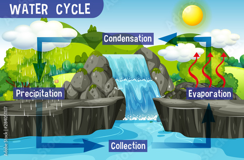 Water cycle process on Earth - Scientific