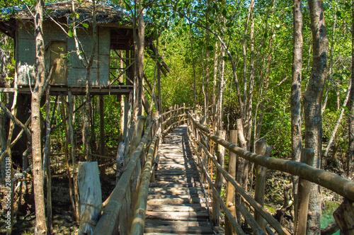 Philippines Siquijor  Guiwanon Spring Park