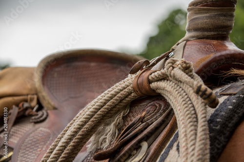 Fényképezés Saddle and Lasso