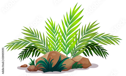 Green leaves and rocks on white background