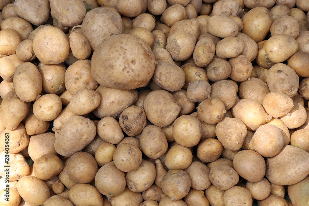 pile of fresh potatoes