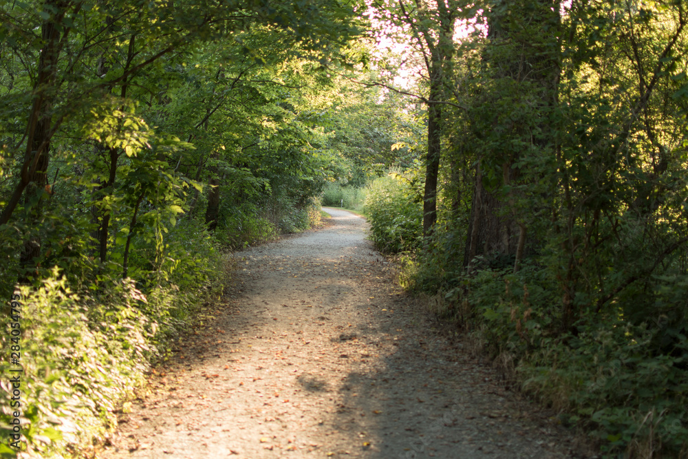 gravel path in the woods gravel path in the woods