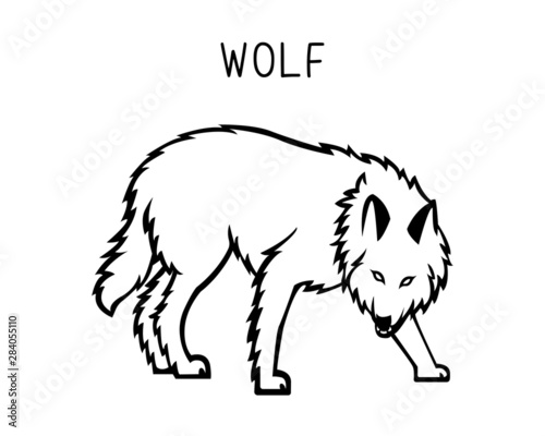 wolf vector illustration. Design can be used as tattoos, decal, stencil, vinyl, t-shirt printing etc
