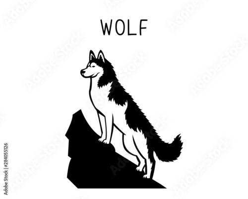 wolf vector illustration. Design can be used as tattoos, decal, stencil, vinyl, t-shirt printing etc photo