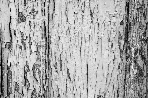 Texture, wood, wall, it can be used as a background. Wooden texture with scratches and cracks