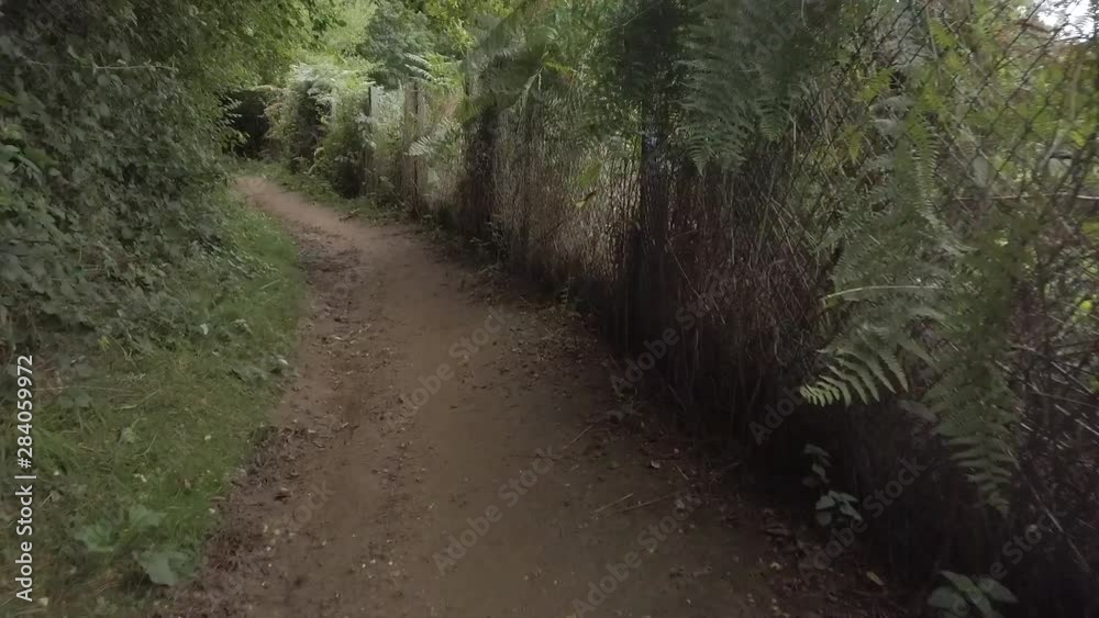 Hyper lapse waling along a footpath in a forest in England on a summers day. Hyper lapse waling along a footpath in a forest in England on a summers day.
