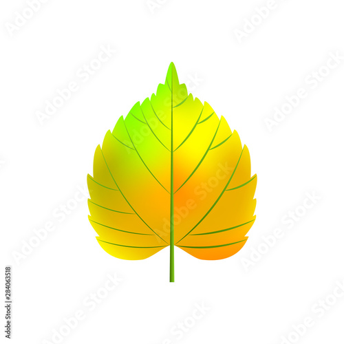 Realistic autumn poplar isolated on white background. Vector illustration