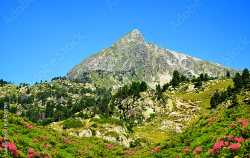 Beautiful mountain landscape in Neouvielle national nature reserve, mount Pic de Bastan, French Pyrenees. photo