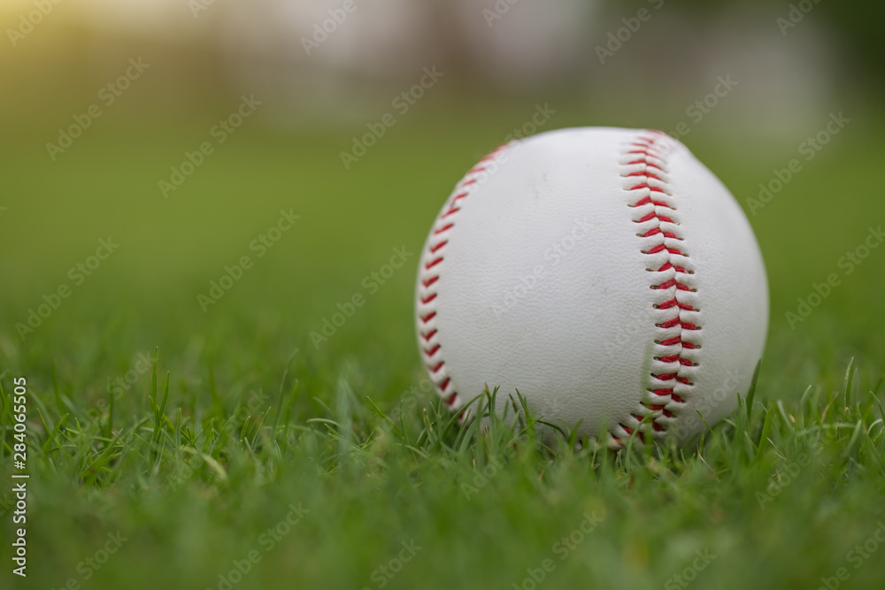 Baseball ball on the green lawn