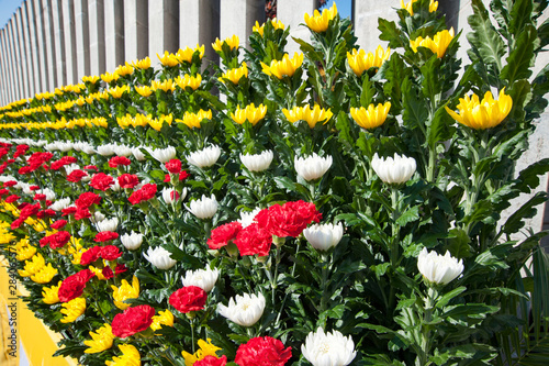 太平洋戦全国空爆犠牲者追悼平和祈念式