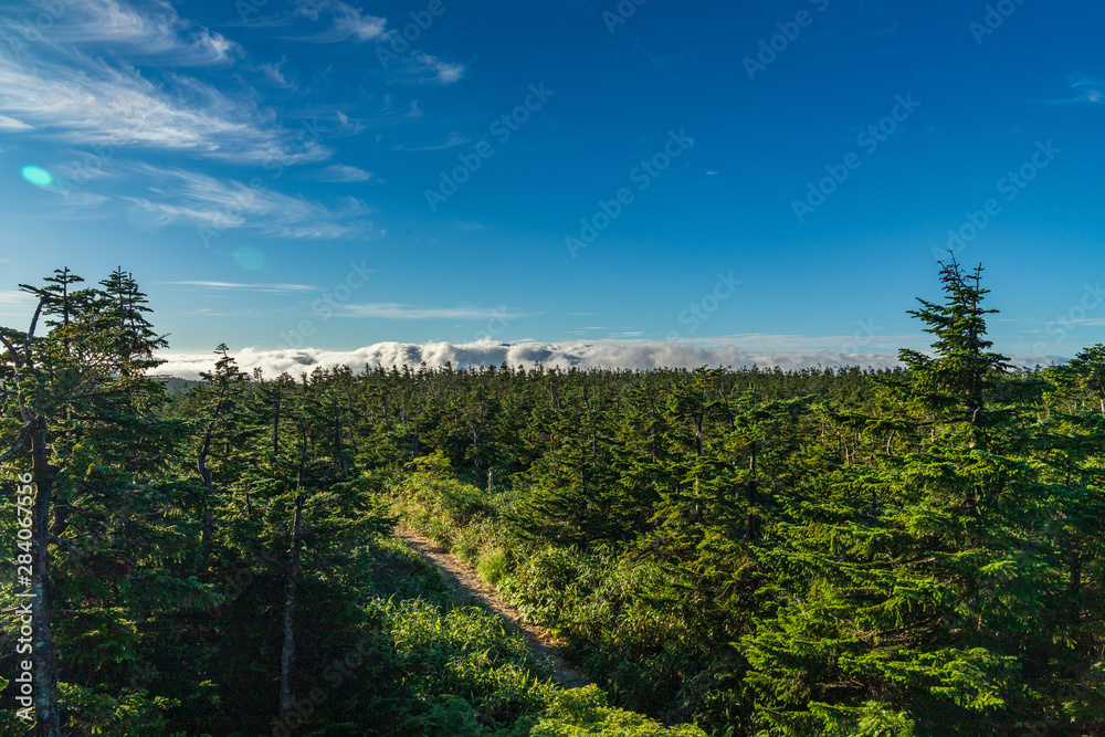 Hachimantai in the early summer morning Hachimantai in the early summer morning