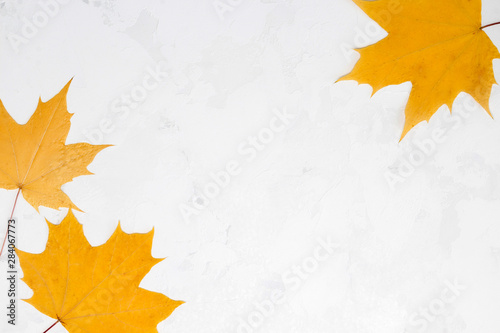 Frame from autumn maple leaves on white concrete background. Card  invitation concept. Top view  flat lay  copy space  mock up  layout design