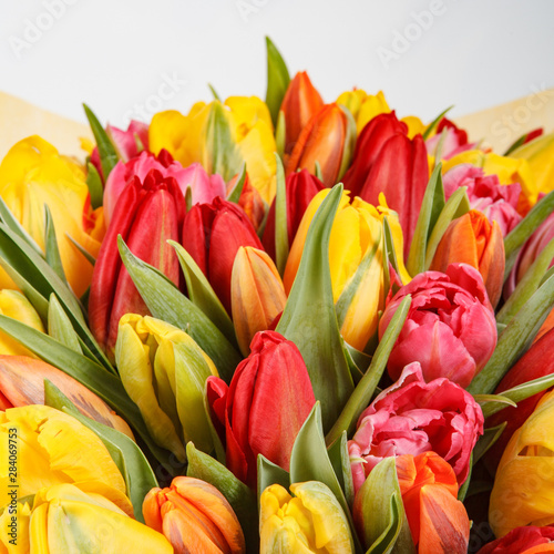 Close-up of orange tulip with yellow and red tulips. Flower spring bouquet background